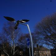 Six new stainless-steel bird statues have been erected in Poole