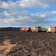 Studland heath fire. Picture from Carolyn Reece