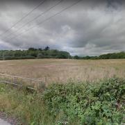 One of the proposed fields for the solar farm, next to Blandford Road. Picture: Google Maps