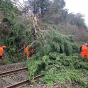 Network Rail engineers attempt to clear fallen trees from the railway line. Picture: Network Rail Wessex