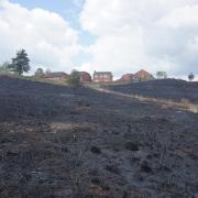 Canford Heath has been left charred since the fire last Saturday.