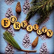 FOREstory will be coming to Moors Valley Country Park next weekend.