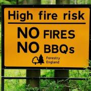 No BBQs allowed in the New Forest. Picture: Forestry England