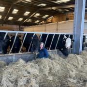 Alison Johnson alongside her cows Picture: NFU Mutual
