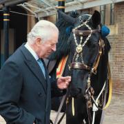 The King has been given a horse by the Royal Canadian Mounted Police