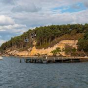 'Serious concern' raised as oil washes up on wildlife haven Brownsea Island