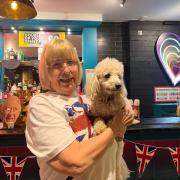 Doggy King Fling event at Revolution Bournemouth organised by Dorset Dogs