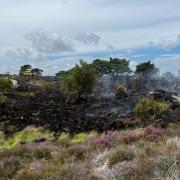 Firefighters were called to Studland after a fire on heathland.