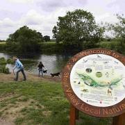 Stour Valley Nature Reserve