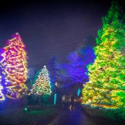 Win family tickets to Sir Harold Hillier Gardens in Romsey this Christmas