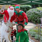 Reindeers and elves visit residents at Poole care home