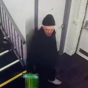 CCTV footage released by Dorset Police