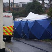 More searches being carried out in Boscombe 'body parts' murder probe