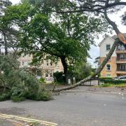 A large pine tree branch has fallen onto Knyverton Road and blocked it.