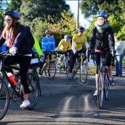 Spring Sportive will make New Forest 