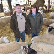 NFU county chairman Trevor Cligg and branch chairman Tina Lester-Card at Mapperton Farm