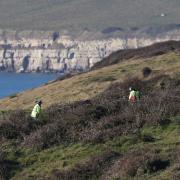 Search for Gaia Pope in Purbeck