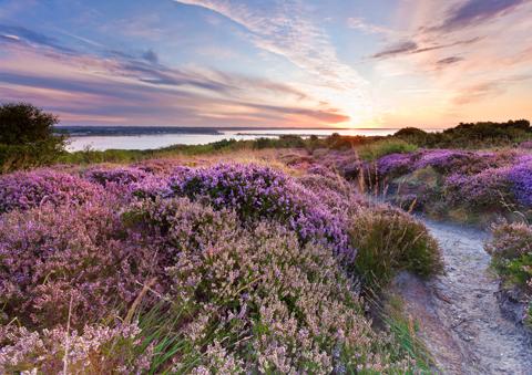 Frank Leavesley took this photograph late August 2011. A stunning sunrise on Hengistbury head.