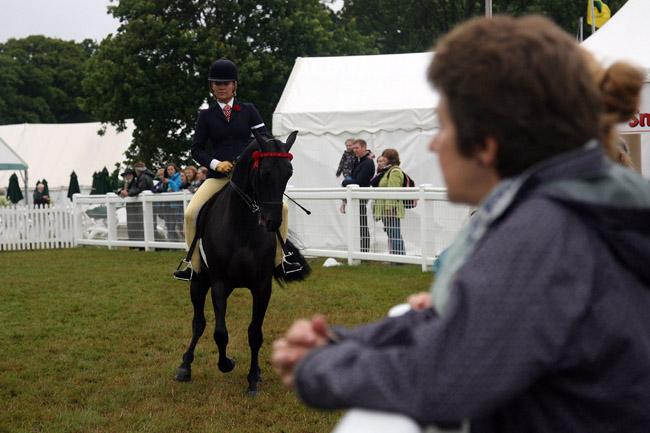 All our pictures from the New Forest Show 2013