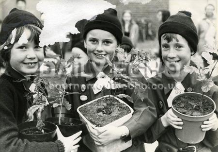 Old Echo 1983, scanned 29.9.08. Gail Adlam, Anna Fry and Joanna Crumpler of 3rd Christchurch Brownies celebrates the groups 30th anniversary by planting trees.