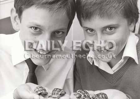 In 1983 Mark Spicer, 12, with his sister Clare, 11, of St Leonards with their newly hatched quad tortoises which hatched from eggs laid in England.