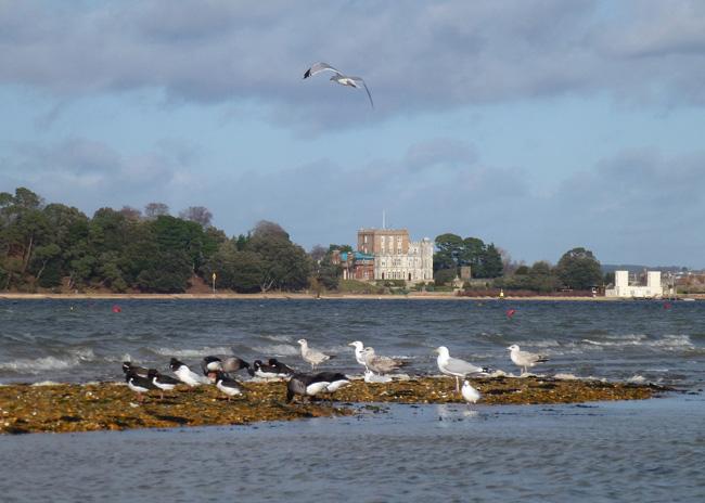 Entries in the winter water activities category of the Daily Echo and Poole Harbour Commissioners photographic competition