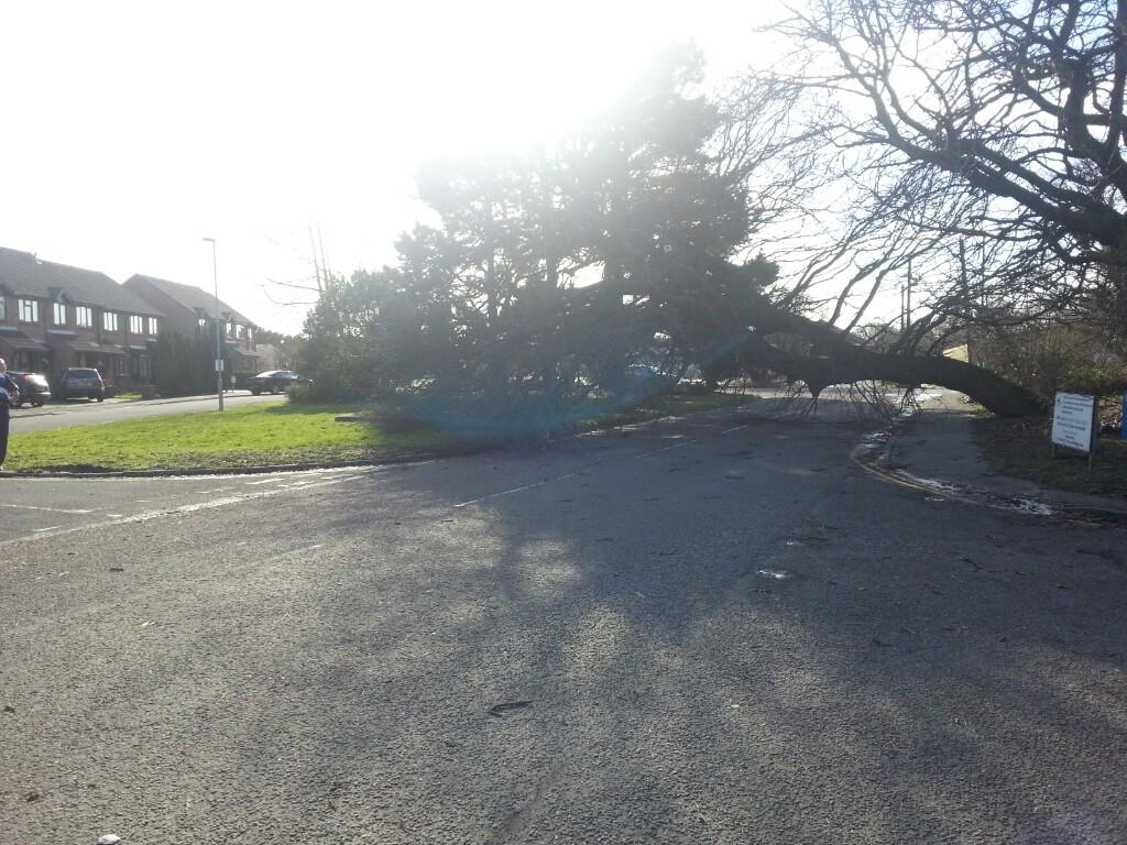 Daily Echo reader photos of the storm and damage left behind after severe weather swept through Dorset on February 14 and February 15.