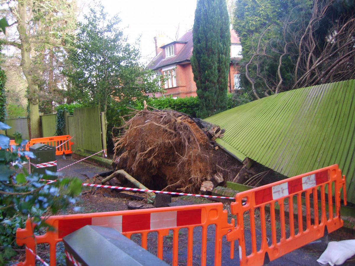 Daily Echo reader photos of the storm and damage left behind after severe weather swept through Dorset on February 14 and February 15. Picture by Nick Maidment of tree down in Talbot Avenue