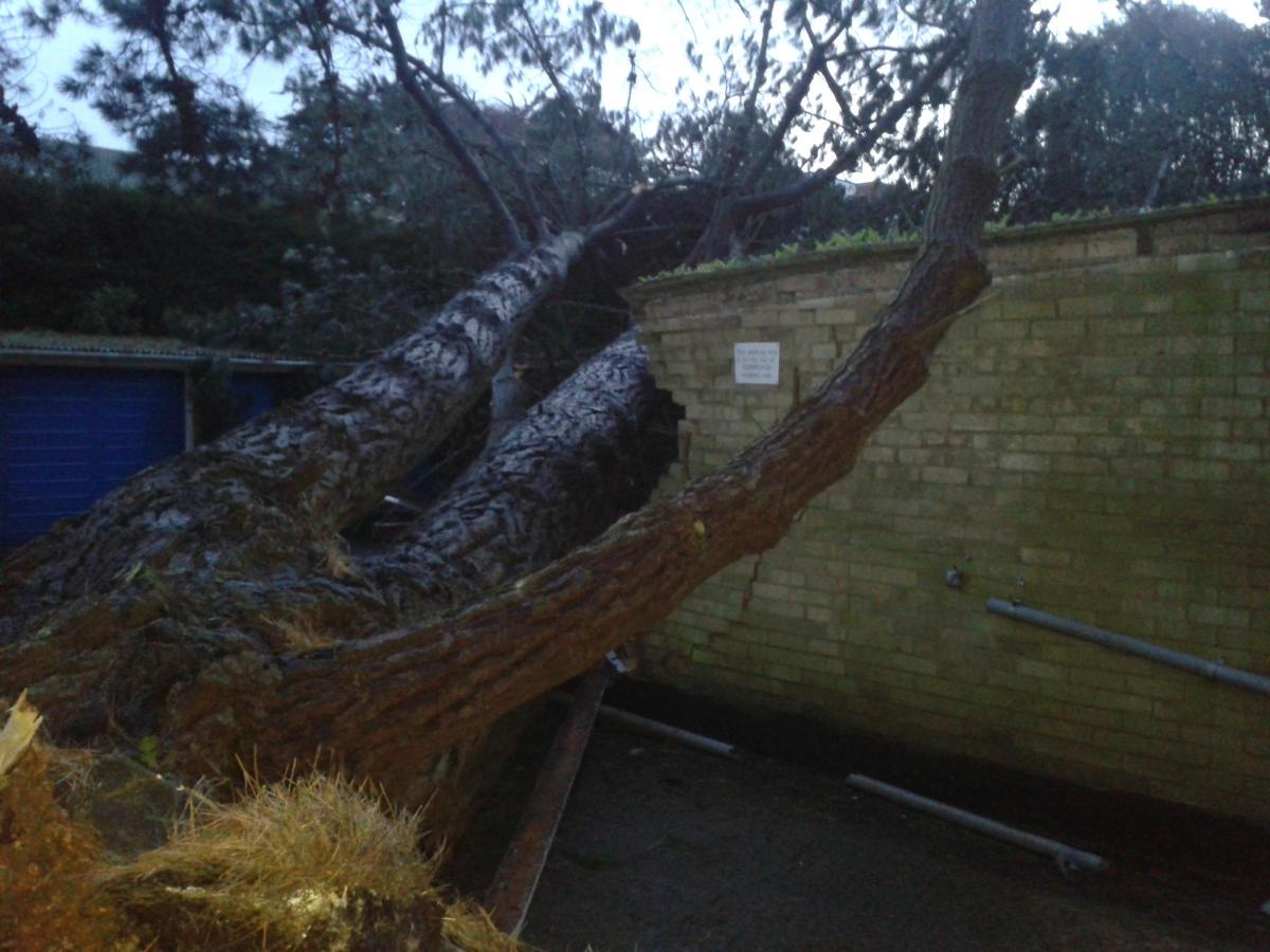 Daily Echo reader photos of the storm and damage left behind after severe weather swept through Dorset on February 14 and February 15. Picture sent by Ferenc Hovart of garage in Sandbanks