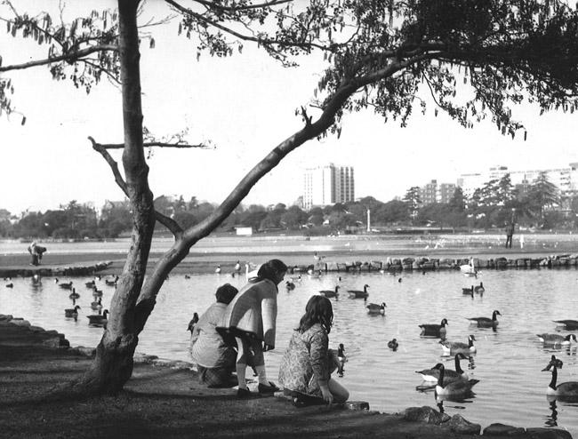 Poole Park in 1971 - Daily Echo Photo