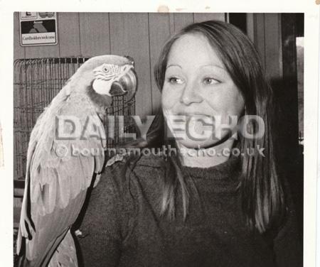 Ulina Quayle, manageress at Bosley Farm Aviary in Christchurch with one of their macaws in 1976.