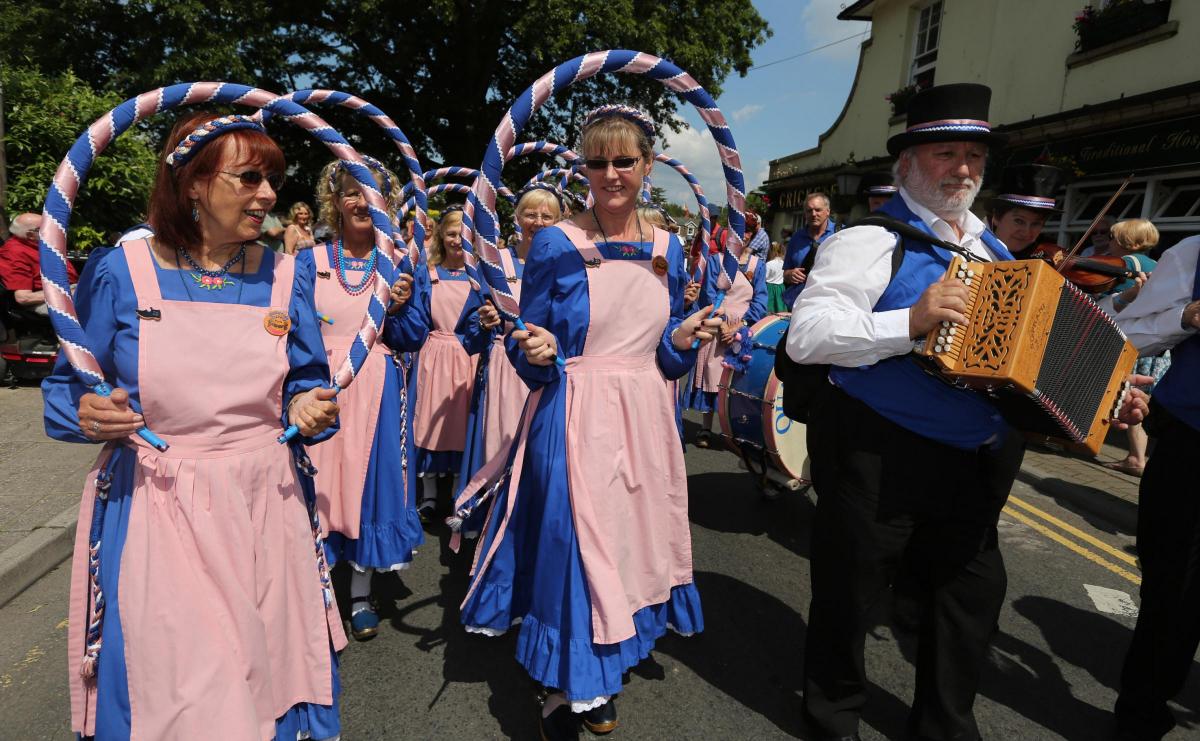 Wimborne Folk Festival 2014