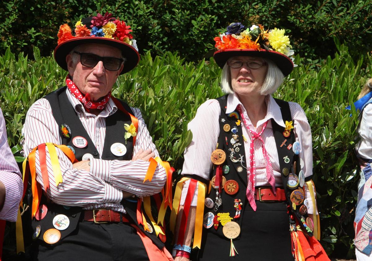 Wimborne Folk Festival 2014