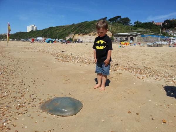 We found this jellyfish at Boscombe Beach near the Pier. My three-year-old son Brody was fascinated