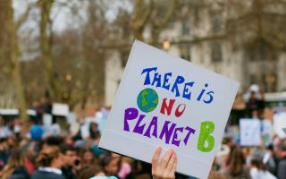 A photo from a climate demonstration. Picture: Pixabay