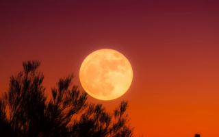 What is a Harvest moon and when will it peak in September? (Canva)
