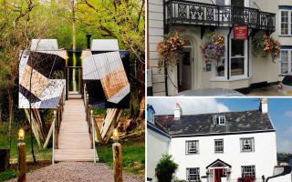 Dazzle Treehouse, The Clarence and The White House were among the Dorset businesses recognised