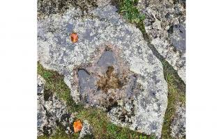 The footprint of a dinosaur has been found on Brownsea Island