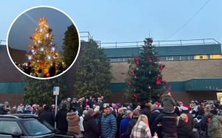 Westbourne Christmas tree switch on