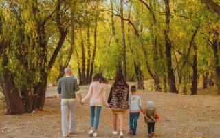 Top 40 family-friendly walks - see the list. Picture: Canva