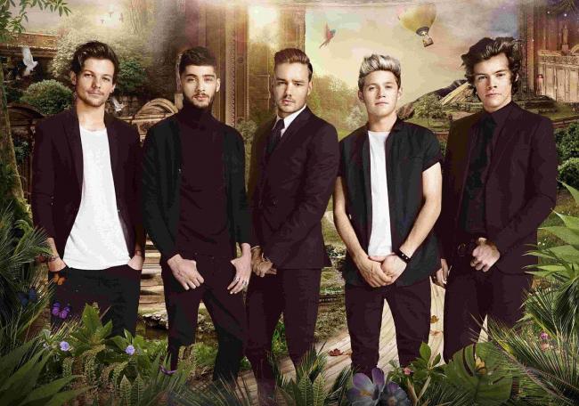 One Direction, Four: The boys deliver their best album yet | Bournemouth  Echo