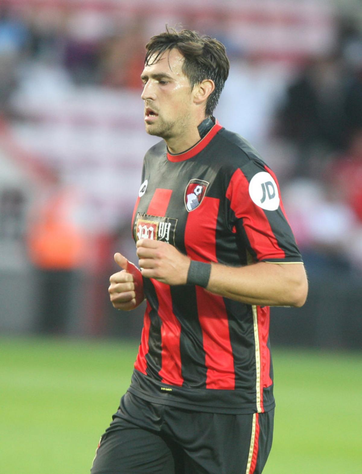 All the pictures from AFC Bournemouth v Cardiff City at the Vitality Stadium on July 31, 2015 by Mick Cunningham 