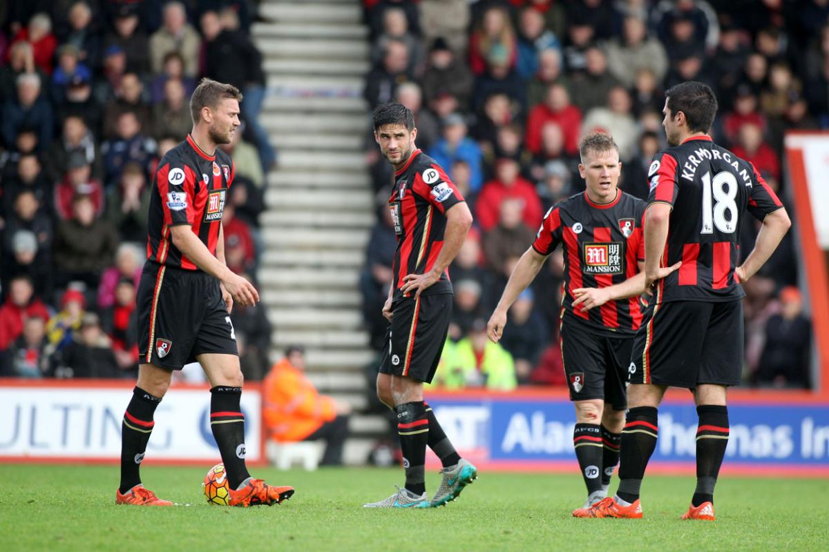 All the pictures from AFC Bournemouth v Newcastle United at the Vitality Stadium on Saturday, November 7, 2015. 