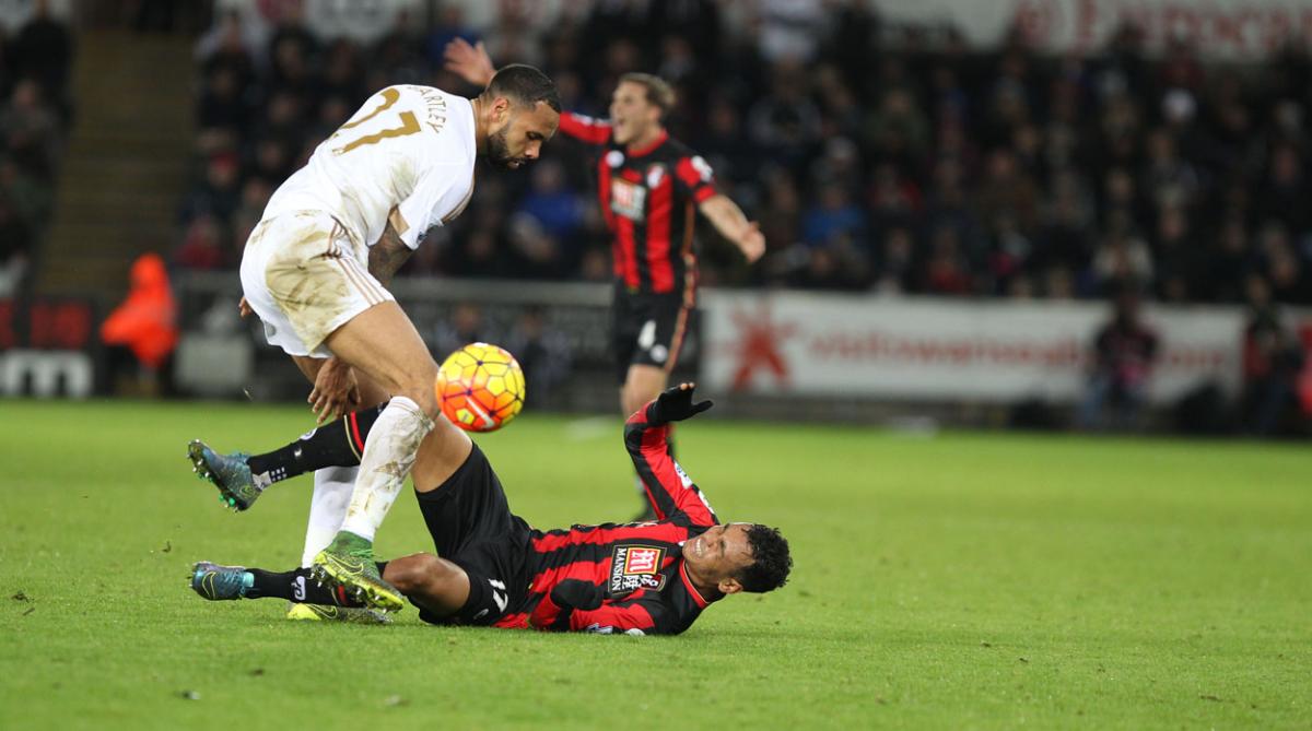 All our pictures from Swansea City v AFC Bournemouth at Liberty Stadium on Saturday, November 21, 2015