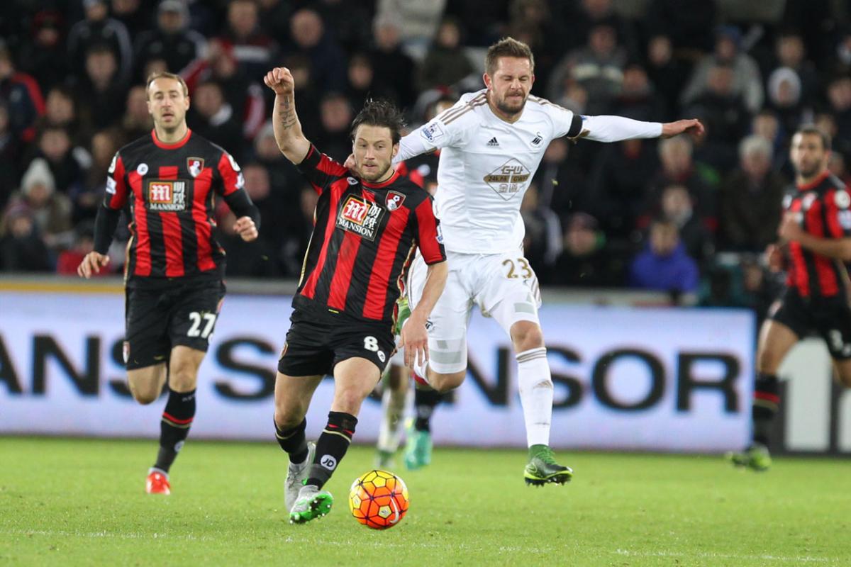 All our pictures from Swansea City v AFC Bournemouth at Liberty Stadium on Saturday, November 21, 2015