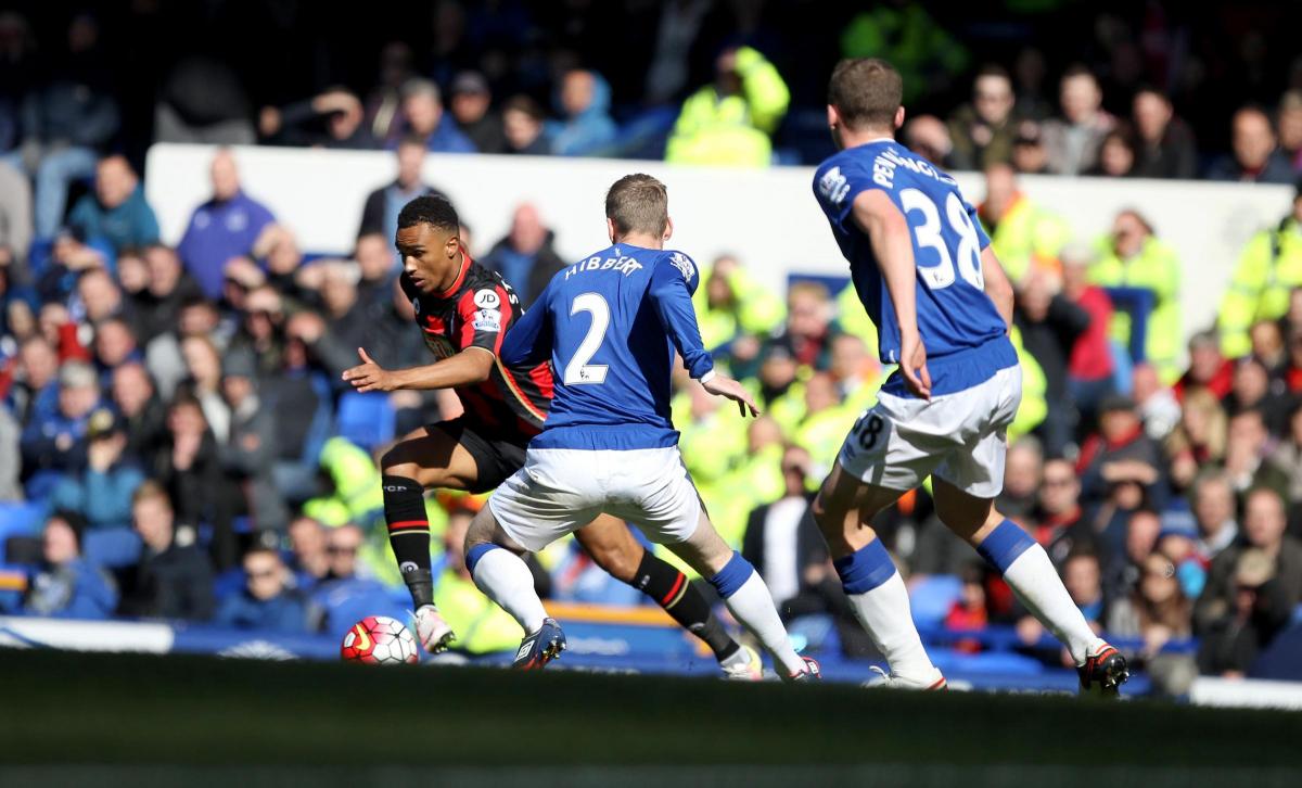 All the pictures from Everton v AFC Bournemouth at Goodison Park on Saturday, April 30, 2016. 