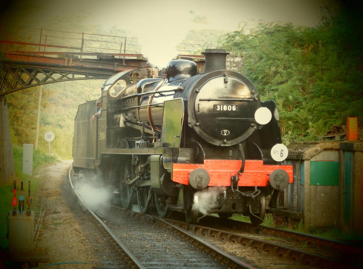 31806 running round her train at Nordon on the Swanage transport rally weekend taken  by Ben Dolman aged 10.