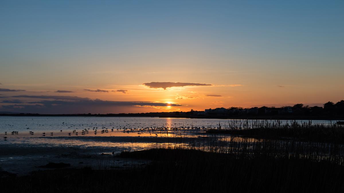 Sunset at Evening Hill, Sandbanks, photo taken by Kelly Hales, Poole.