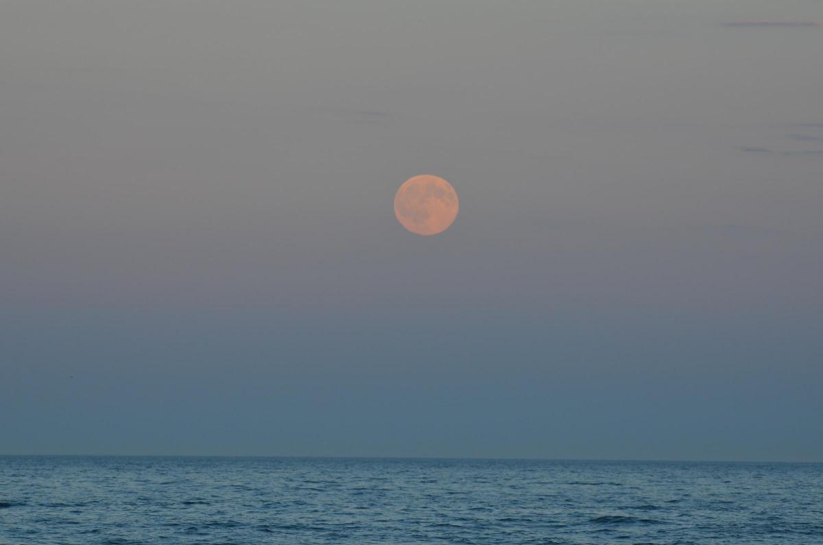 The full moon on the 19th July 2016  taken  from Sandbanks  by Daniel Marsh
