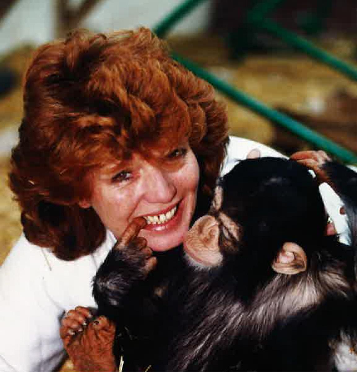 Rula Lenska with her adopted chimp Arfur in 1995